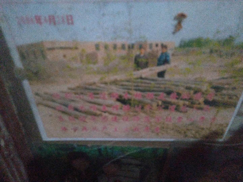 11644c38e0f910b198287d7853f1f138 11644c38e0f910b198287d7853f1f138