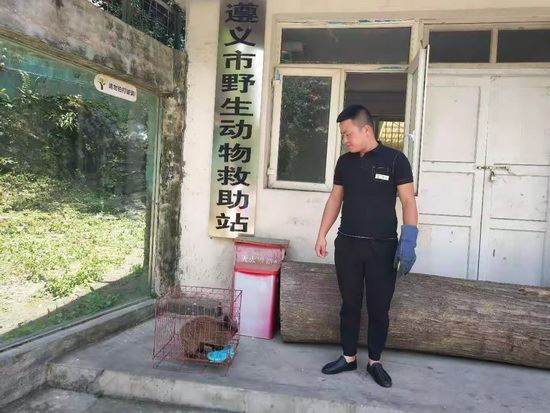 新民派出所民警成功救助一只“小可爱”