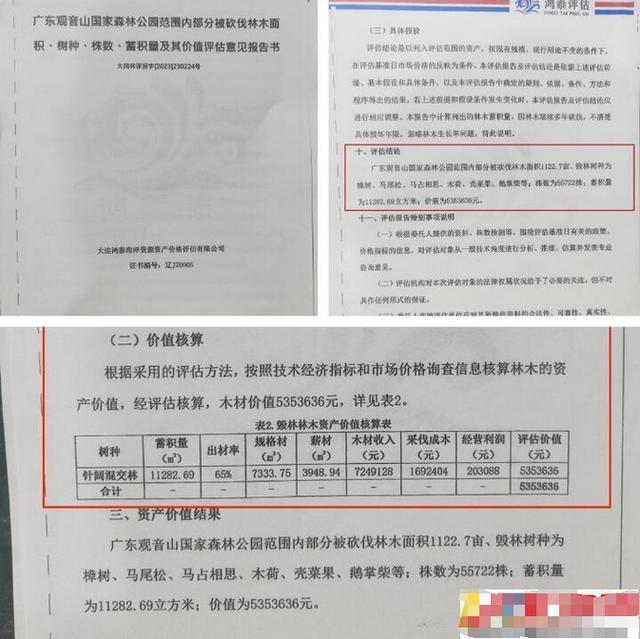 11243LJ8-11-1 11243LJ8-11-1