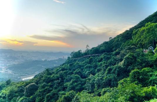 15124TL4-3 15124TL4-3