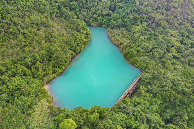 1534163Y2-1 1534163Y2-1