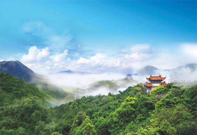 1534164936-4 1534164936-4