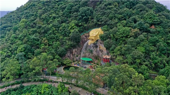 2026012817082687697.004