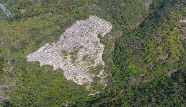 1442215H5-28 1442215H5-28